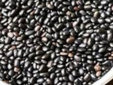 Black Horse Gram